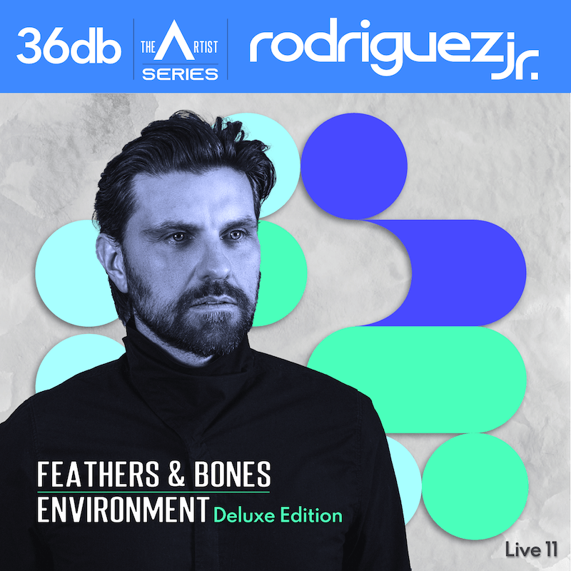 Rodriguez Jr. Environment