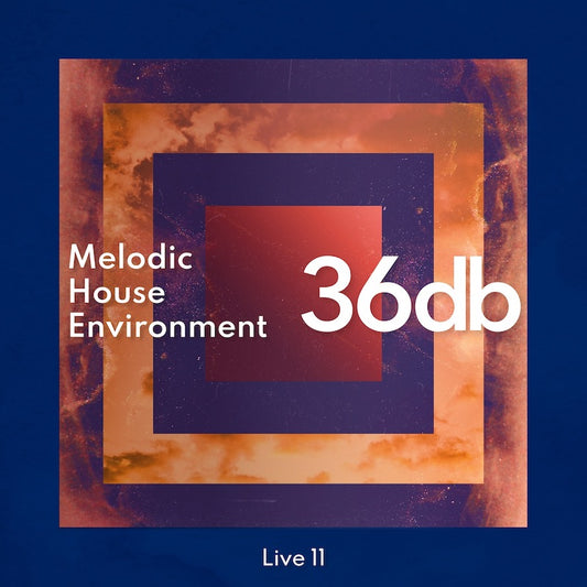 Melodic House Environment Live 11