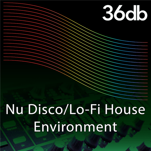 Nu Disco / Lo-Fi House Environment